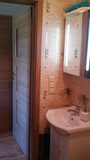 Фото номера Двухместный номер Делюкс с 1 кроватью и душем Гостевой дом Villa Cheval г. Аукштадварис 10